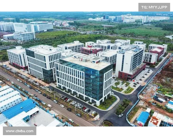 以加速发展为核心推动力推动项目快速落地实现高效目标执行 以加速发展为核心推动力推动项目快速落地实现高效目标执行