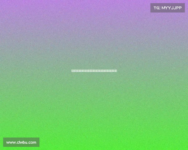 法国车手凭借出色表现夺得达喀尔拉力赛汽车组冠军创历史新纪录